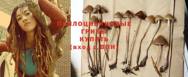 шишки Алзамай