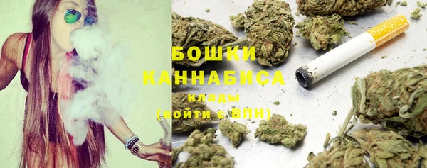 шишки Алзамай