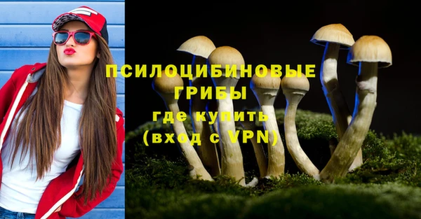 прущая мука Алексин