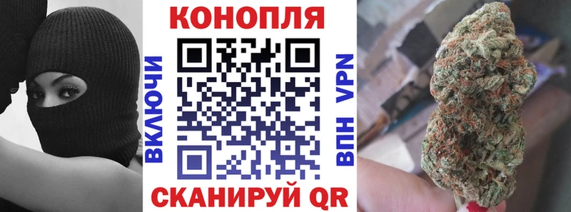 Бошки марихуана семена  Кольчугино 